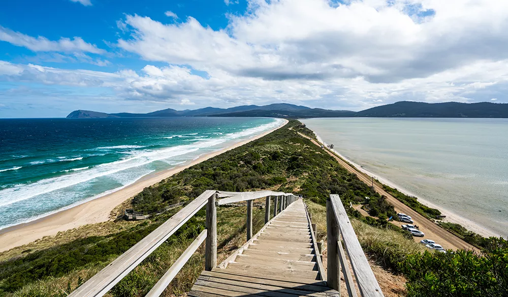 Best Things to Do in Bruny Island