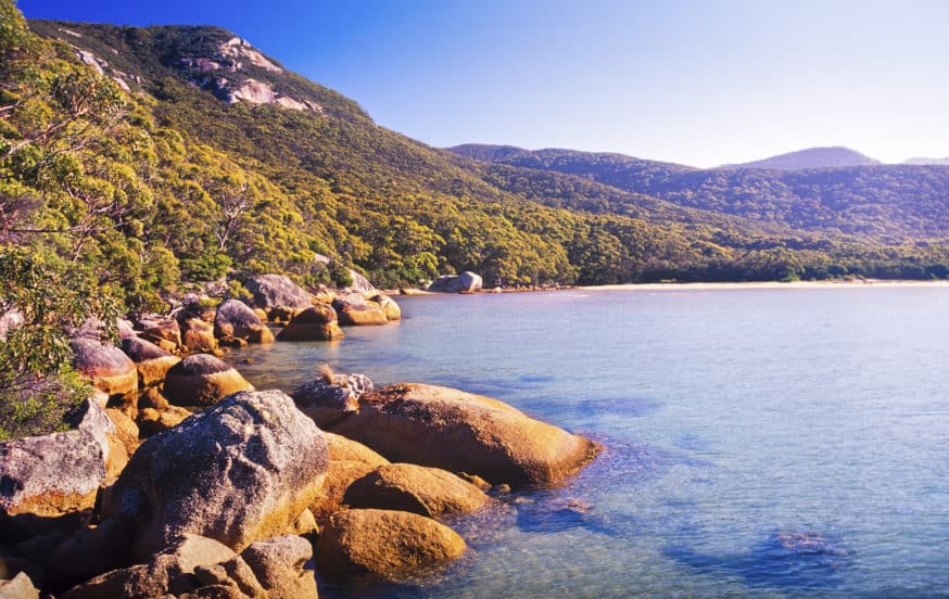 Best Things to do in Wilson