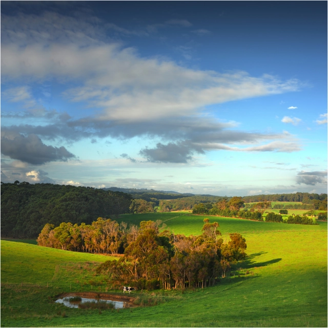 South Gippsland Travel Guide Coast & Country