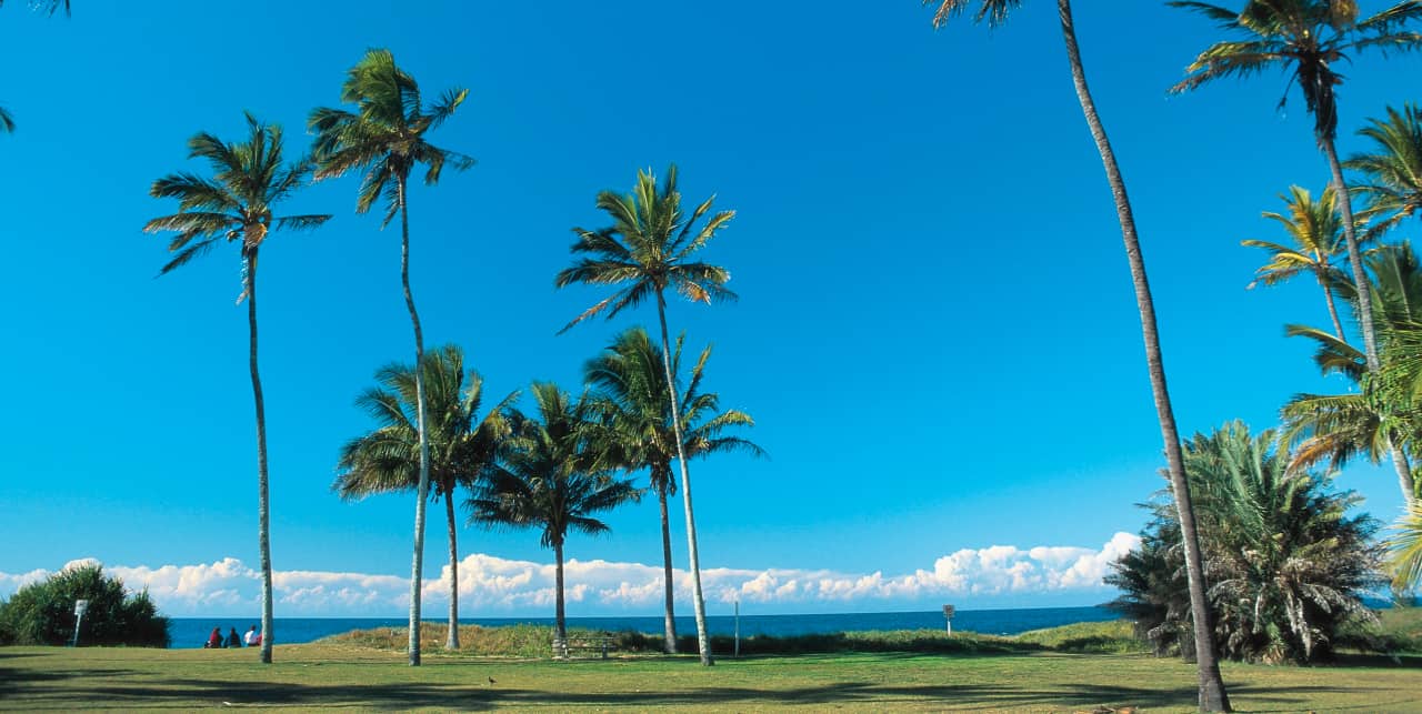 Best Things To Do In Bargara best-things-to-do-in-bargara