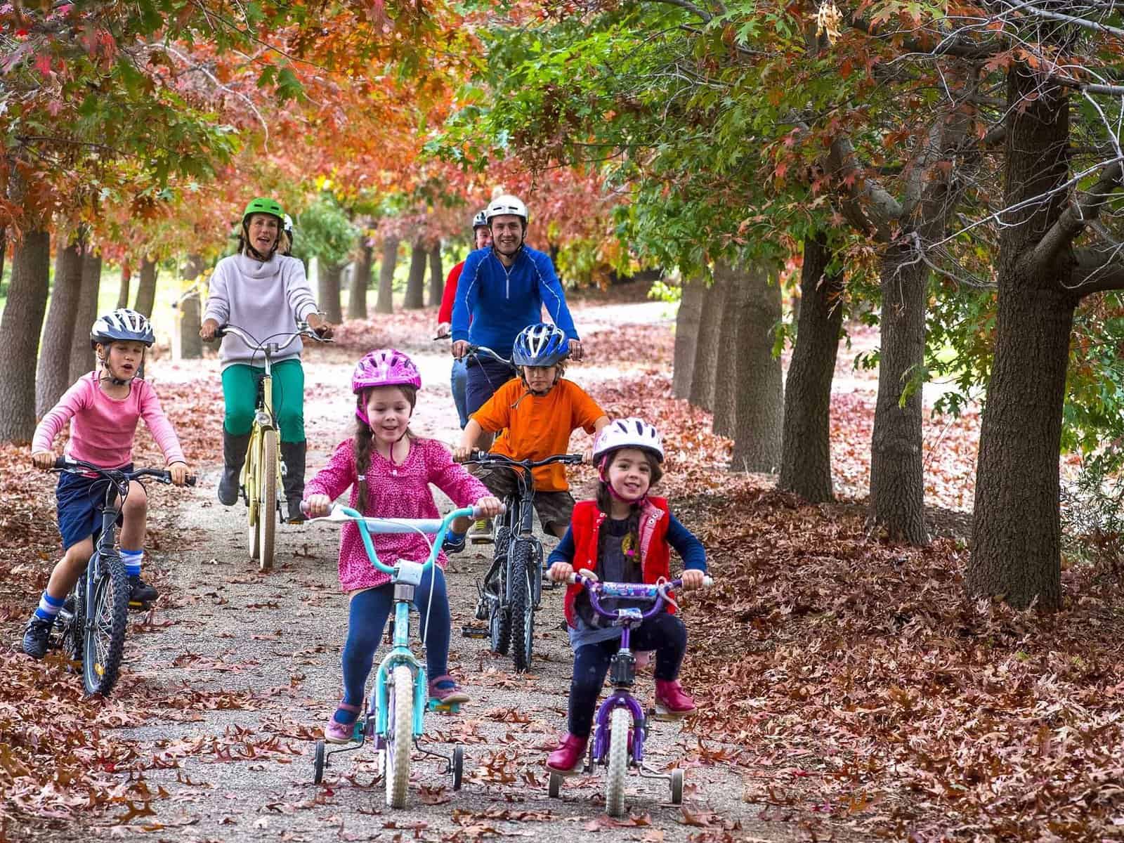 Things to Do in Beechworth with Kids Coast & Country Things to Do in Beechworth with Kids Coast & Country