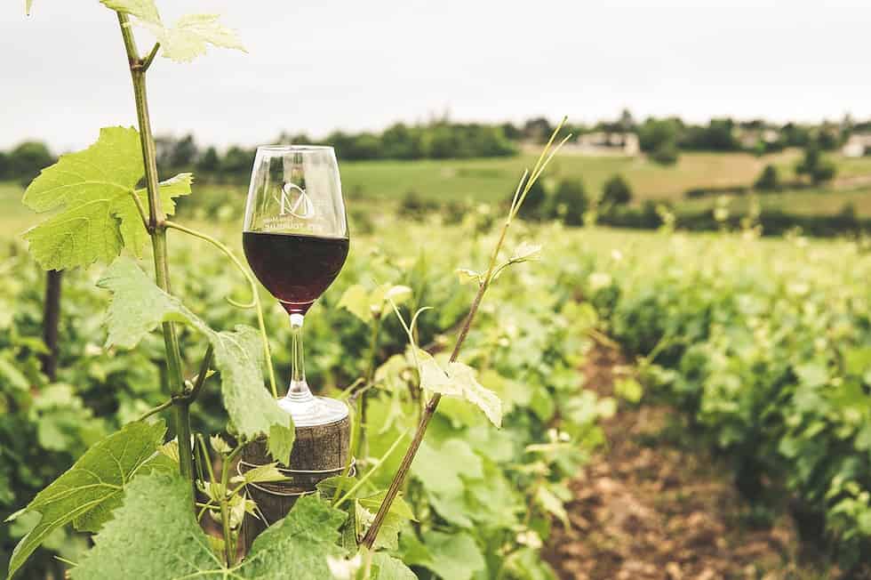 The Best Winery Lunch on the Mornington Peninsula Coast & Country